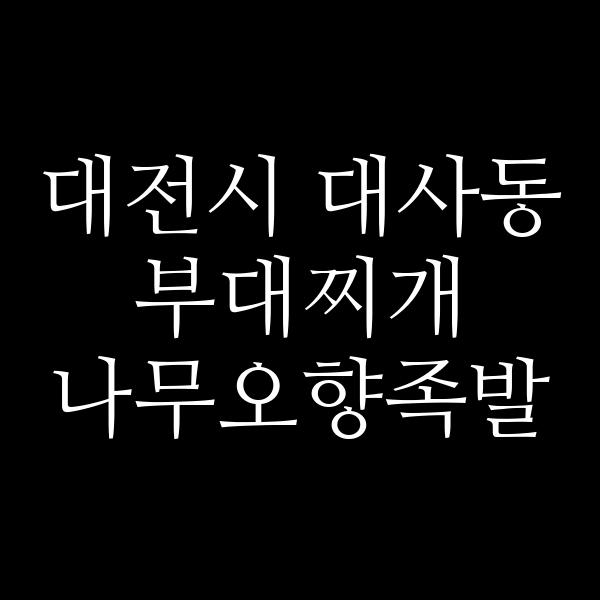 요약 정보 이미지