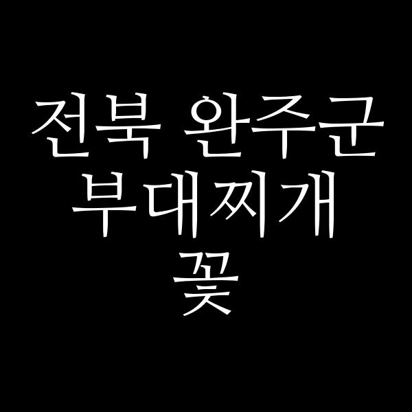 요약 정보 이미지